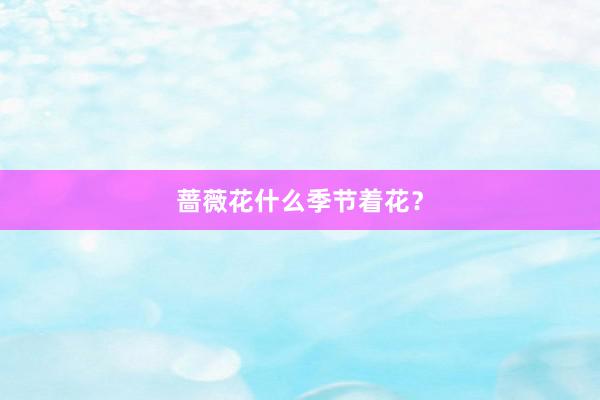 蔷薇花什么季节着花？